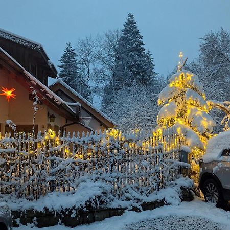 Gemuetliche Waldrandlage In Badenweiler Sehringen Ferienwohnung Exteriör bild