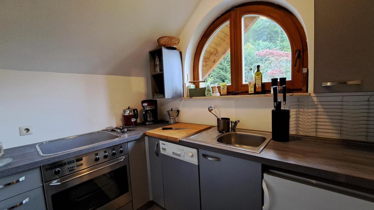 Gemuetliche Waldrandlage In Badenweiler Sehringen Ferienwohnung Exteriör bild