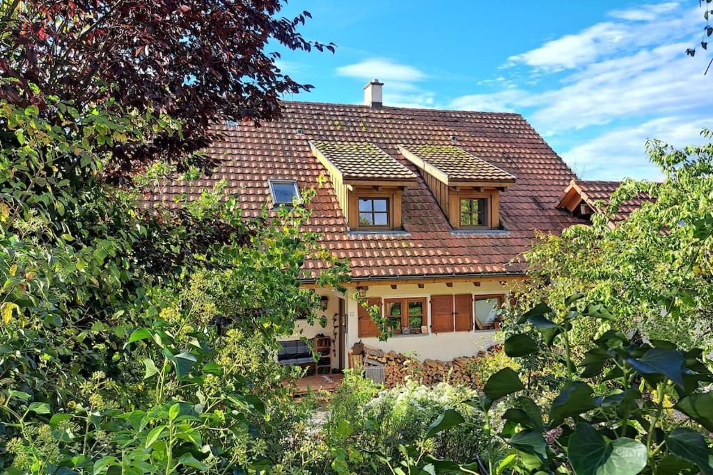Gemuetliche Waldrandlage In Badenweiler Sehringen Ferienwohnung Exteriör bild