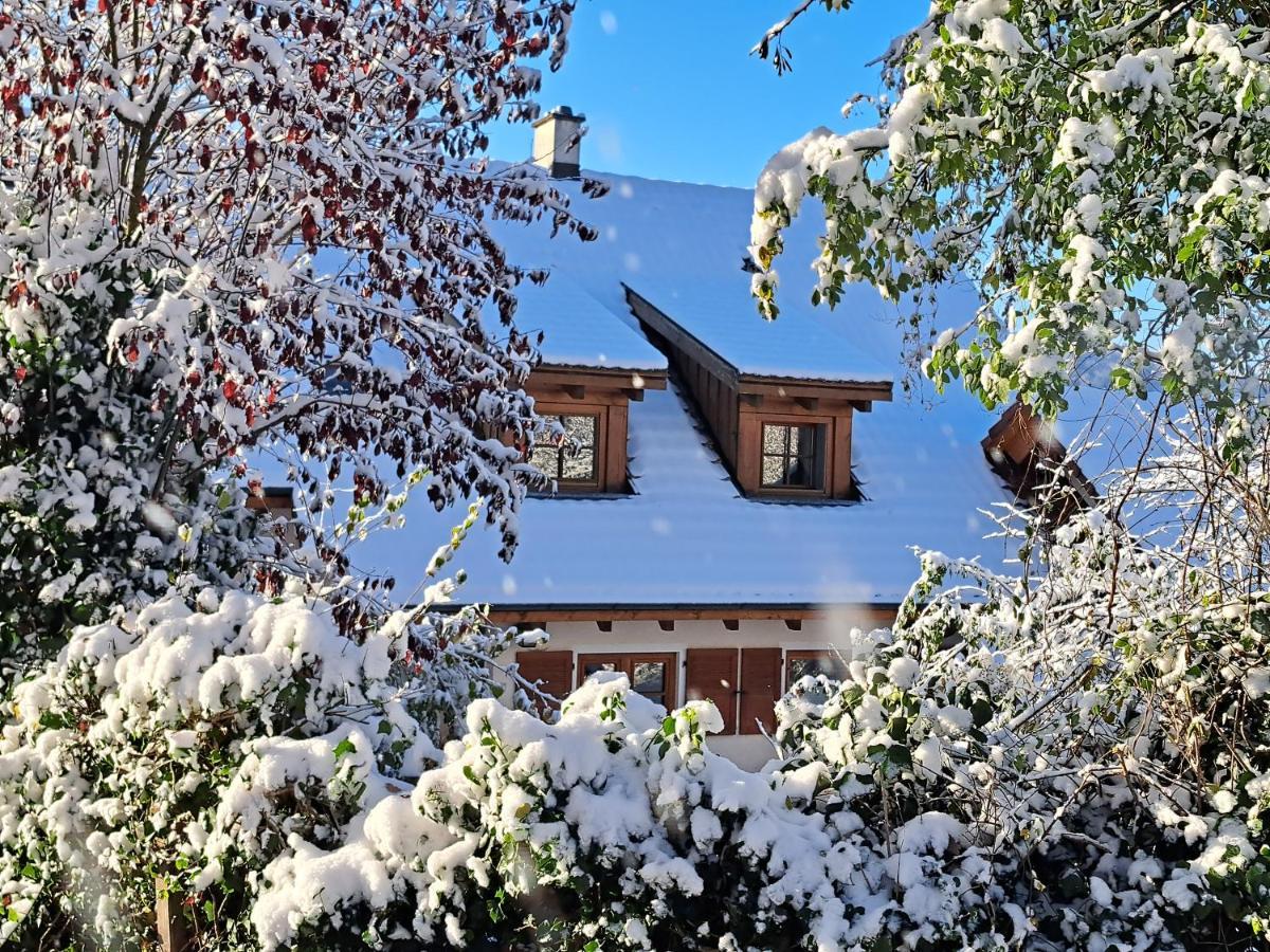 Gemuetliche Waldrandlage In Badenweiler Sehringen Ferienwohnung Exteriör bild