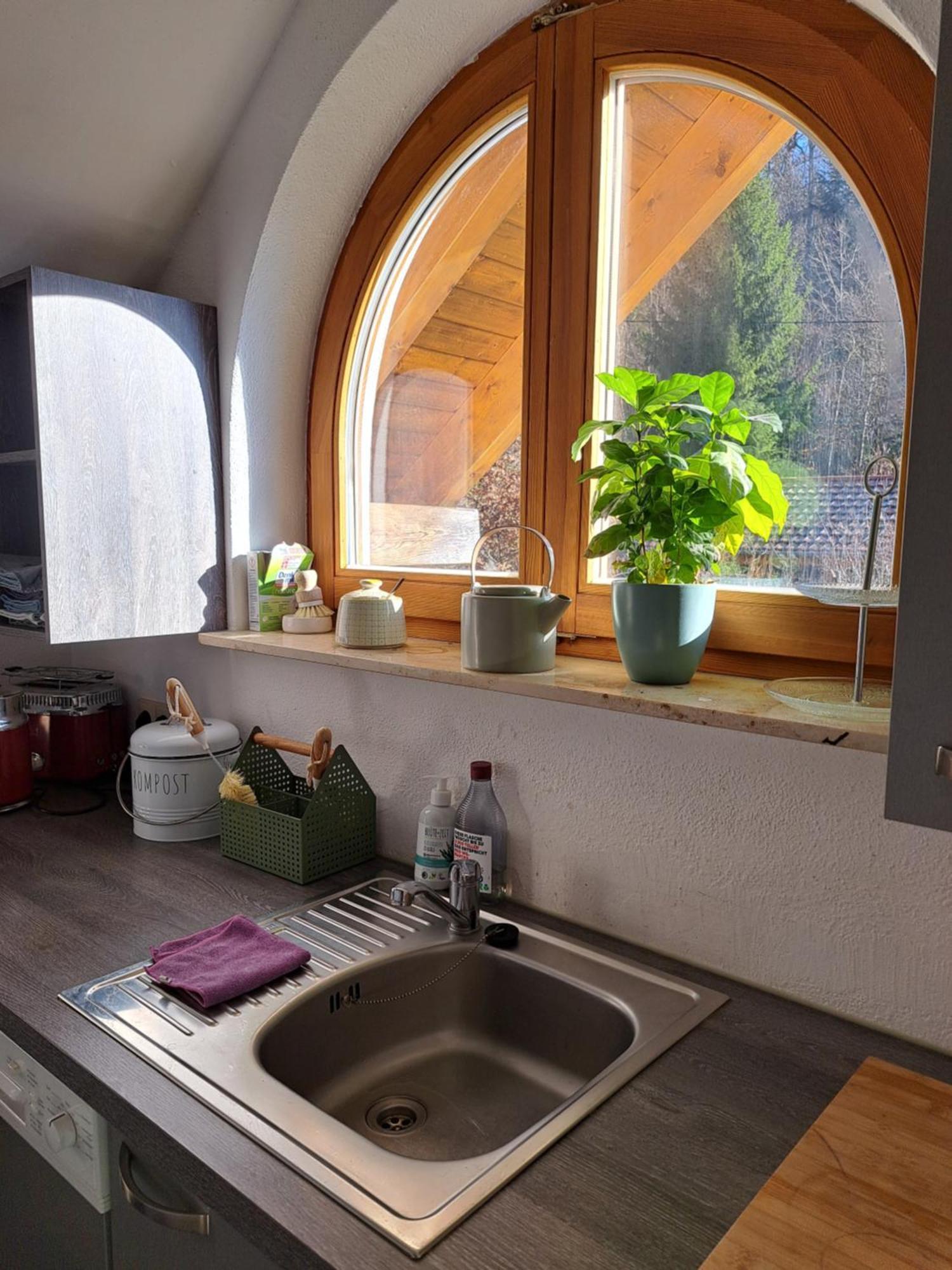 Gemuetliche Waldrandlage In Badenweiler Sehringen Ferienwohnung Exteriör bild